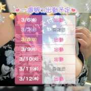 ヒメ日記 2026/03/07 12:20 投稿 マユミ 人妻生レンタル