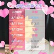 ヒメ日記 2026/03/09 16:50 投稿 マユミ 人妻生レンタル