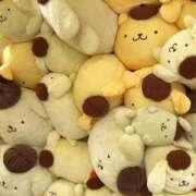 ヒメ日記 2025/10/12 13:32 投稿 アカリ 人妻生レンタル