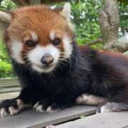 ヒメ日記 2025/12/05 13:16 投稿 みさ CUTE