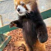 ヒメ日記 2025/12/07 11:01 投稿 みさ CUTE