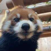 みさ ??次回20時30分〜 CUTE