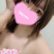 ヒメ日記 2025/02/21 11:50 投稿 みなせ 奥様特急新潟店