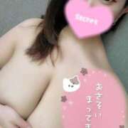 ヒメ日記 2025/05/23 12:52 投稿 みなせ 奥様特急新潟店