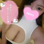 ヒメ日記 2025/10/24 12:29 投稿 みなせ 奥様特急新潟店