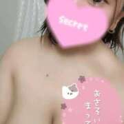 ヒメ日記 2025/11/19 01:57 投稿 みなせ 奥様特急新潟店