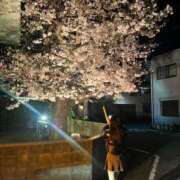 ヒメ日記 2025/04/02 06:55 投稿 らな PINK PLANET