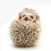 ヒメ日記 2024/12/19 08:50 投稿 あずさ ZERO