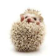 ヒメ日記 2024/12/23 10:15 投稿 あずさ ZERO