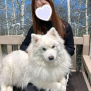 ほのか もふもふᐡ-ﻌ•ᐡ Ange Spa(アンジュスパ)