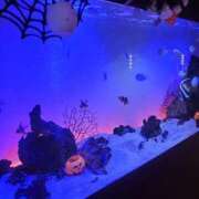 ヒメ日記 2025/10/17 21:02 投稿 みずき ファーストレディ(博多)