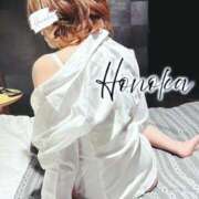 ヒメ日記 2026/03/18 09:42 投稿 ほのか ファーストレディ(博多)