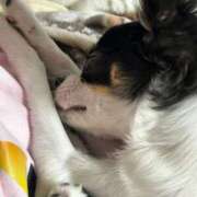 ヒメ日記 2025/07/25 06:49 投稿 あいか 博多プラチナム