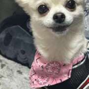 ヒメ日記 2025/07/25 18:04 投稿 あいか 博多プラチナム