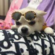 ヒメ日記 2025/07/27 10:49 投稿 あいか 博多プラチナム