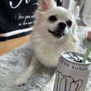 ヒメ日記 2025/07/27 11:40 投稿 あいか 博多プラチナム