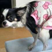 ヒメ日記 2025/07/28 18:59 投稿 あいか 博多プラチナム