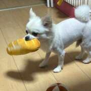 ヒメ日記 2025/07/29 16:39 投稿 あいか 博多プラチナム