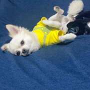 ヒメ日記 2025/07/30 15:19 投稿 あいか 博多プラチナム