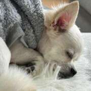 ヒメ日記 2025/08/02 16:49 投稿 あいか 博多プラチナム