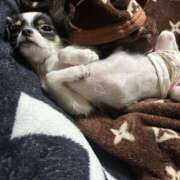 ヒメ日記 2025/08/03 23:09 投稿 あいか 博多プラチナム