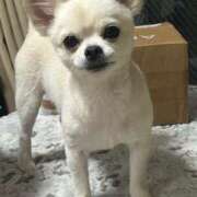 ヒメ日記 2025/08/07 02:18 投稿 あいか 博多プラチナム