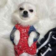 ヒメ日記 2025/08/07 11:20 投稿 あいか 博多プラチナム