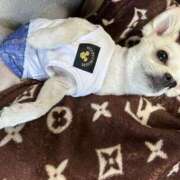 ヒメ日記 2025/08/09 18:59 投稿 あいか 博多プラチナム