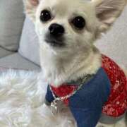 ヒメ日記 2025/08/11 14:49 投稿 あいか 博多プラチナム