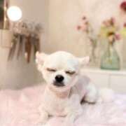 ヒメ日記 2025/08/11 16:20 投稿 あいか 博多プラチナム