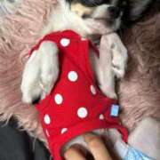 ヒメ日記 2025/08/14 21:19 投稿 あいか 博多プラチナム