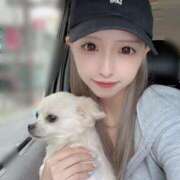 ヒメ日記 2025/08/17 17:49 投稿 あいか 博多プラチナム