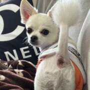 ヒメ日記 2025/08/20 20:04 投稿 あいか 博多プラチナム