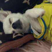 ヒメ日記 2025/08/28 23:04 投稿 あいか 博多プラチナム