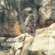 ヒメ日記 2025/09/01 13:20 投稿 あいか 博多プラチナム