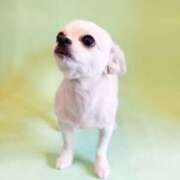 ヒメ日記 2025/09/02 23:39 投稿 あいか 博多プラチナム