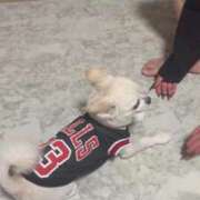 ヒメ日記 2025/09/04 15:19 投稿 あいか 博多プラチナム