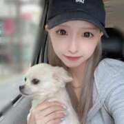 ヒメ日記 2025/10/06 04:19 投稿 あいか 博多プラチナム