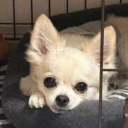 ヒメ日記 2025/10/07 20:28 投稿 あいか 博多プラチナム