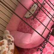 ヒメ日記 2025/10/09 15:20 投稿 あいか 博多プラチナム