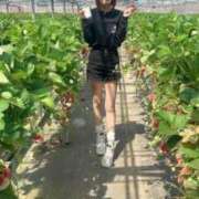 ヒメ日記 2025/10/19 01:49 投稿 あいか 博多プラチナム