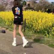 ヒメ日記 2025/10/24 03:49 投稿 あいか 博多プラチナム