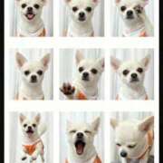 ヒメ日記 2025/11/14 07:20 投稿 あいか 博多プラチナム