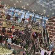 ヒメ日記 2025/11/25 12:45 投稿 あいか 博多プラチナム