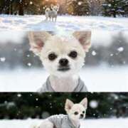 ヒメ日記 2025/12/13 06:09 投稿 あいか 博多プラチナム