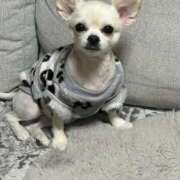 ヒメ日記 2026/01/05 07:19 投稿 あいか 博多プラチナム