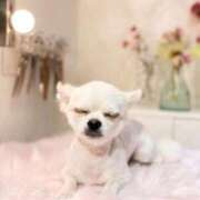 ヒメ日記 2026/01/06 17:49 投稿 あいか 博多プラチナム