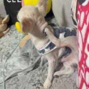 ヒメ日記 2026/01/09 17:19 投稿 あいか 博多プラチナム