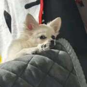 ヒメ日記 2026/01/10 22:29 投稿 あいか 博多プラチナム