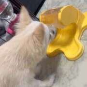 ヒメ日記 2026/01/15 10:11 投稿 あいか 博多プラチナム